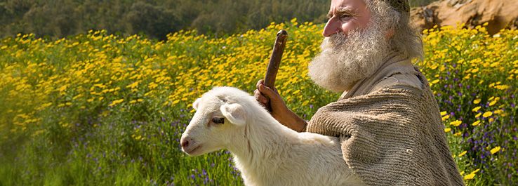 Ciência confirma a Igreja: O Bom Pastor ainda anda à procura das ovelhas  perdidas